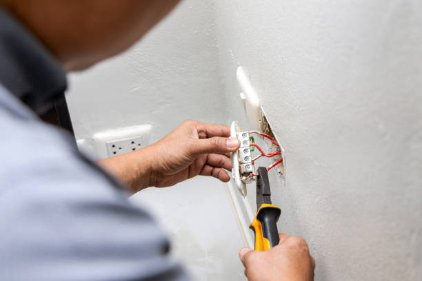 Best Electric Panel Repair  in Cortland, IL